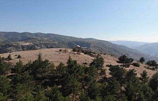 Bulunduğu tepeye adını veren türbenin tarihini...