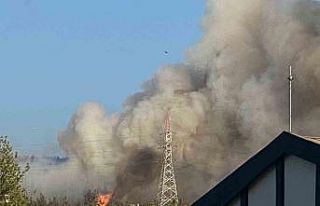 Bursa’da orman yangını