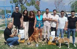 Bursalı firmadan sahipsiz hayvanlar için anlamlı...