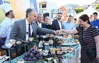 Bursa’nın ’Siyah incisi’nde hasat başladı