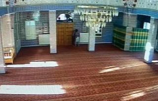 Cami faresi suçüstü yakalandı