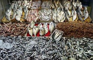 Çanakkale’de av yasağının sona ermesiyle balık...