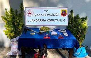 Çankırı’da uyuşturucu operasyonu: 2 gözaltı