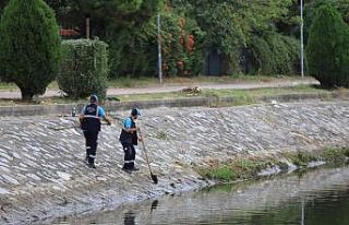 Çark Deresi ve çevresi temizlendi