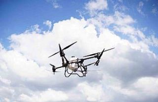 Çarşamba Ovası’nda ulaşımı zor tarım alanları...