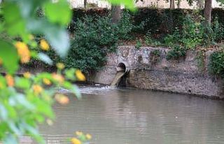 Çaya akan atık su kokusu çevreye rahatsızlık...