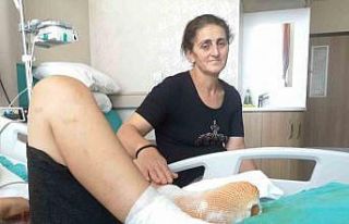 Çayırda elektrik akımına kapılan çocuk ölümden...