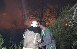 Çekmeköy’de ormanlık alanda çıkan yangın kontrol...
