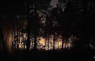 Çekmeköy’de ormanlık alanda çıkan yangın söndürüldü