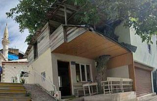 Ceviz ağacı kütüphanenin çatısının içinden...