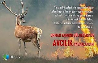 Çevrecilerden ’Yangın bölgelerinde avcılık...