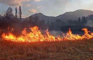 Çiftçiler, anız yakımına karşı uyarıldı