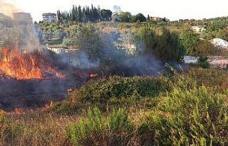 Çınarcık’ta arazi yangını