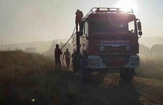 Çorum’da 15 bin dönüm arazi küle döndü