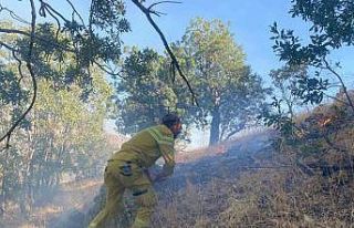 Cudi Dağı’nda çıkan yangın 7 saat sonra kontrol...