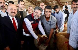 Depremden etkilenen illerde küçükbaş, kanatlı...