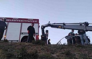 Derede mahsur kalan inek, vinç yardımıyla kurtarıldı