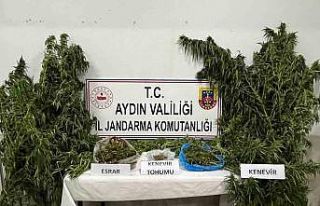 Didim’de uyuşturucu operasyonu: 1 gözaltı