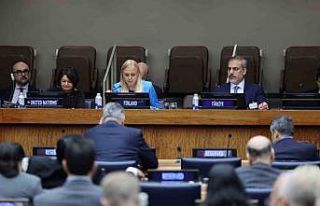 Dışişleri Bakanı Fidan, BM Arabuluculuk Dostlar...