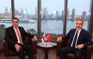 Dışişleri Bakanı Fidan, Gürcistan Dışişleri...