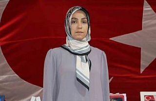 Diyarbakır annelerinden MHP Genel Başkanı Bahçeli’ye...