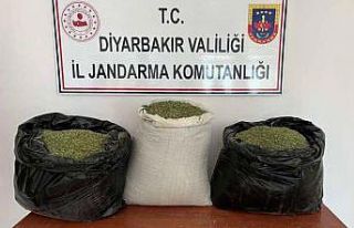Diyarbakır’da 121 kilo esrar ele geçirildi