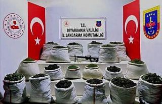 Diyarbakır’da milyonlarca kök kenevir ve 1,5 ton...