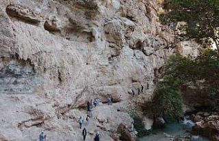 Doğa harikası Kayacı Vadisi ekoturizm alanı oldu