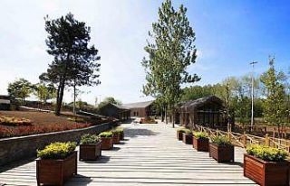 Doğa harikası longoza ziyaretçi akını