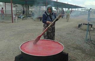 Domatesler kışlık salça için kaynadı