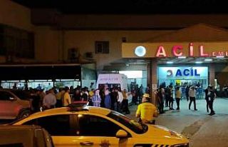 Domuz sürüsüne ateş ederken arkadaşını öldürdü