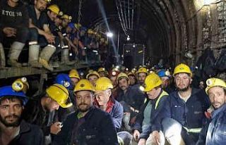 Doruk Madencilikte işçilerin açlık grevi 48 saat...