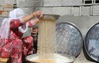 DTSO’dan 5 ilçeyi kapsayan üzüm ve peynir rotası