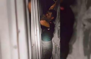 Duvar ile konteyner arasına sıkışan yavru köpeği...