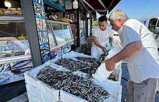 Düzce’de hamsi fiyatı 20 liraya kadar düştü