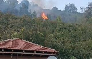 Düzce’de korkutan yangın
