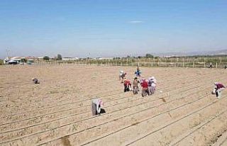 Efeler Belediyesi 4 futbol sahası büyüklüğündeki...