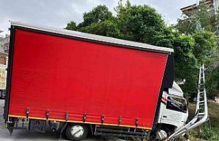 El freni çekilmeyen kamyon direğe çarparak durabildi