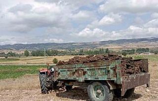 El frenini çekmeyi unuttuğu traktörün altında...