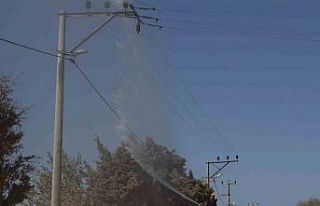 Elektrik hatlarını yıkayarak temizliyorlar