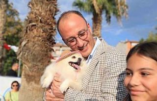 En güzel patiler Pamukkale’de görücüye çıktı