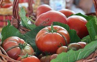 En lezzetli domatesi ve höşmerimi seçtiler