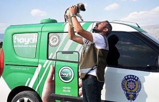 Erzincan’da HAYDİ ekipleri can dostları unutmuyor