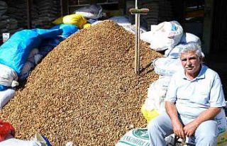 Erzincan’dan Malatya’ya 30 ton acı kayısı çekirdeği...