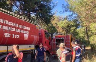 Erzin’de çıkan orman yangını söndürüldü