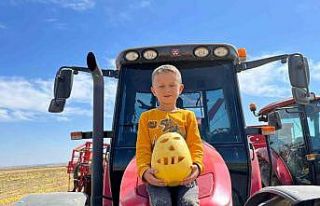 Eskişehir’de kabak çekirdeği hasadı başladı