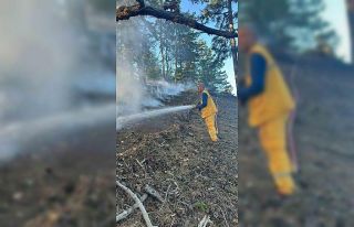 Feke yangını kontrol altında