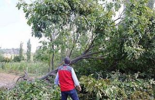 Gazeller’de yaşanan dolu olayında zarar 1 milyon...