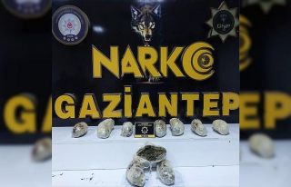 Gaziantep’te 3 kilo skunk ele geçirildi