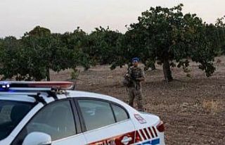 Gaziantep’te “yeşil altın” denetimlerinde...